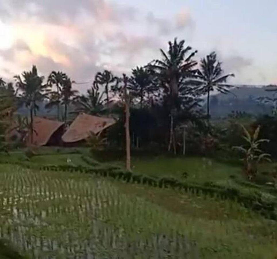 Jero Tumbuk Private Villa Selat Exterior photo