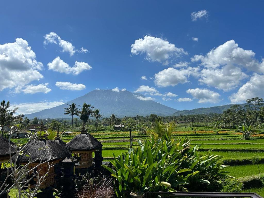 Jero Tumbuk Private Villa Selat Exterior photo